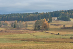 Widoki z  pod Pioruna