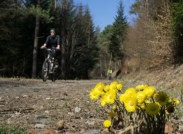 Beskid Niski droga Izby Ropki